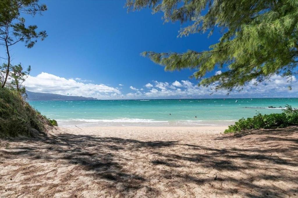 Unit 19 Maui Ohana Modern Studio Wailuku Экстерьер фото