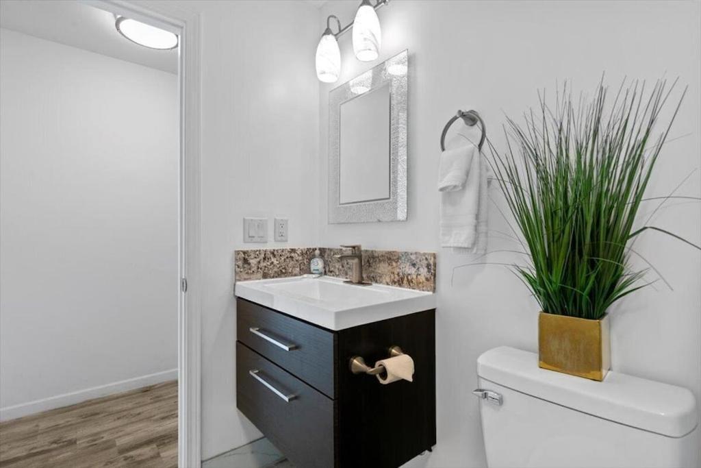 Unit 19 Maui Ohana Modern Studio Wailuku Экстерьер фото